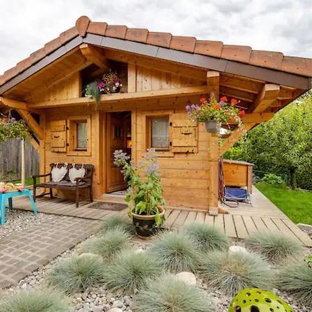Le Chalet Des 3 Ours Neuvecelle Exteriör bild
