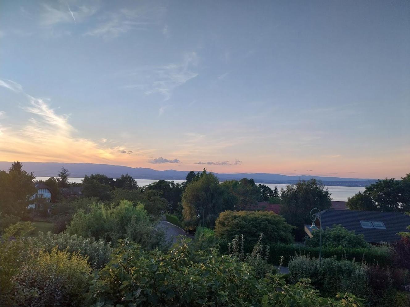 Le Chalet Des 3 Ours Neuvecelle Exteriör bild